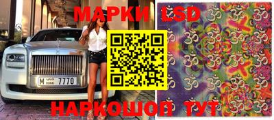 спиды Краснознаменск