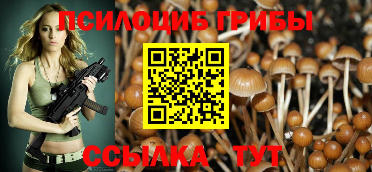 Псилоцибиновые грибы Magic Shrooms  где можно купить   Иркутск  Галлюциногенные грибы Psilocybine cubensis  Вход с VPN 